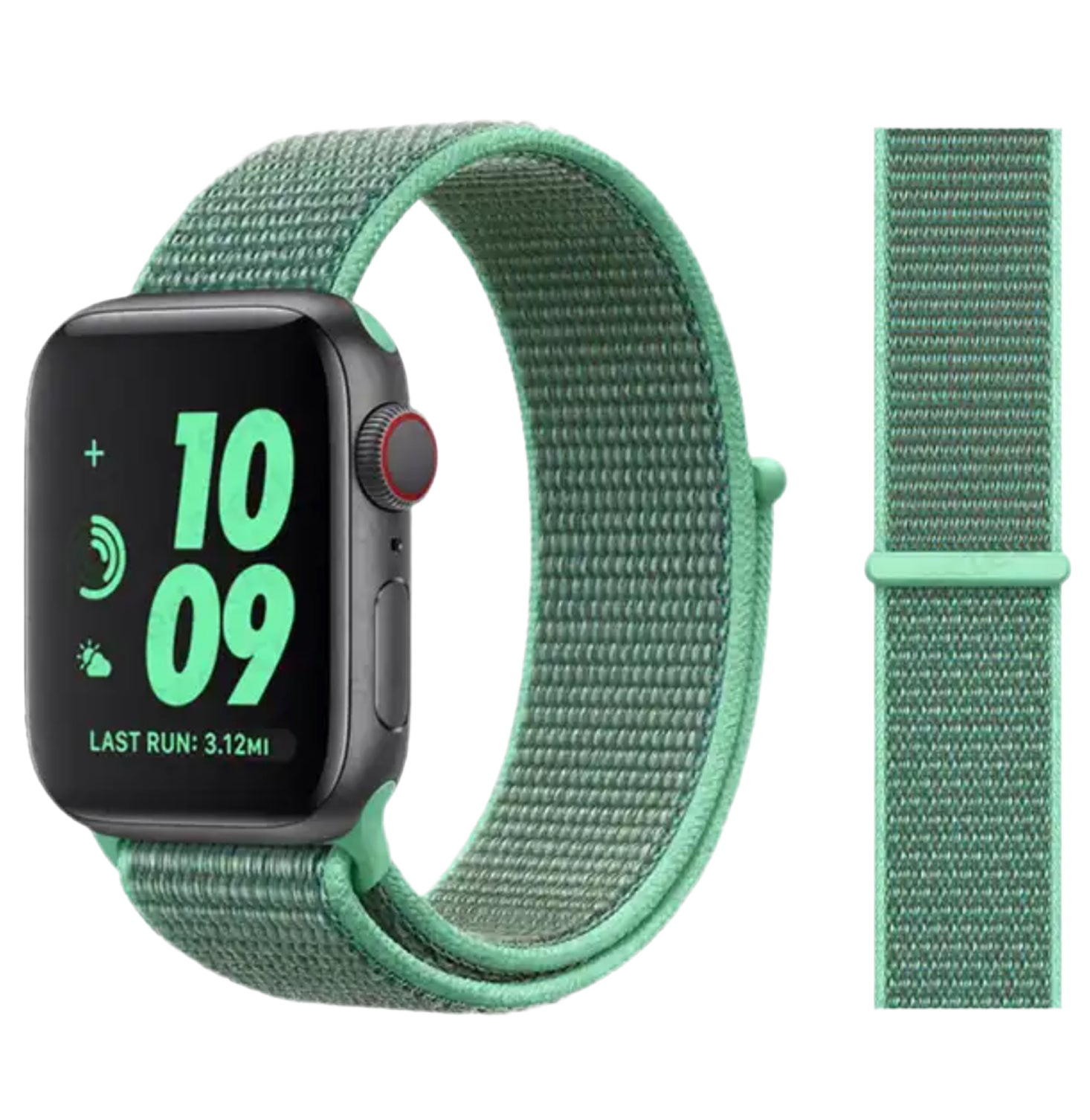 Green Nylon Loop Strap