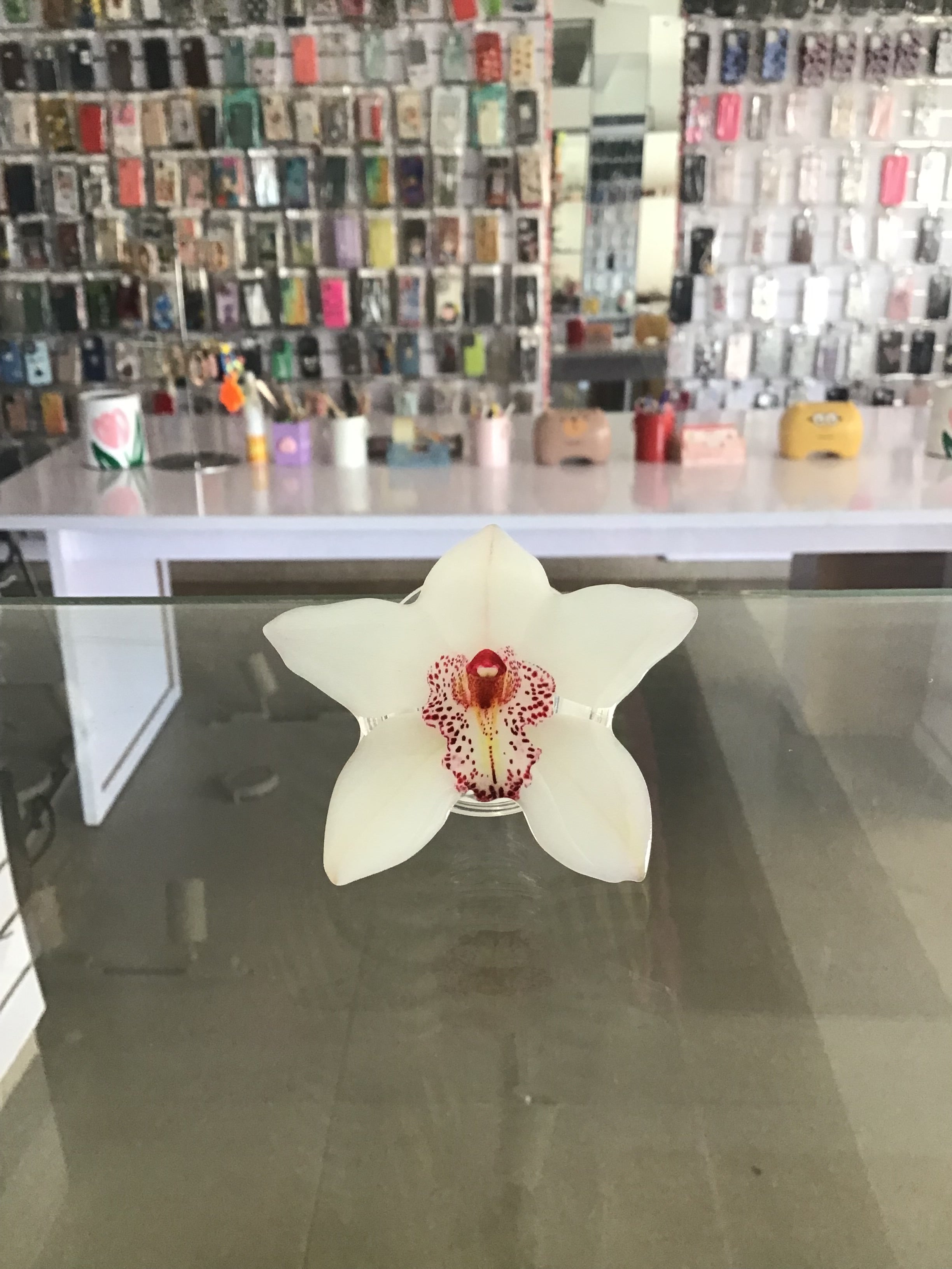 Hibiscus flower Phone Grip