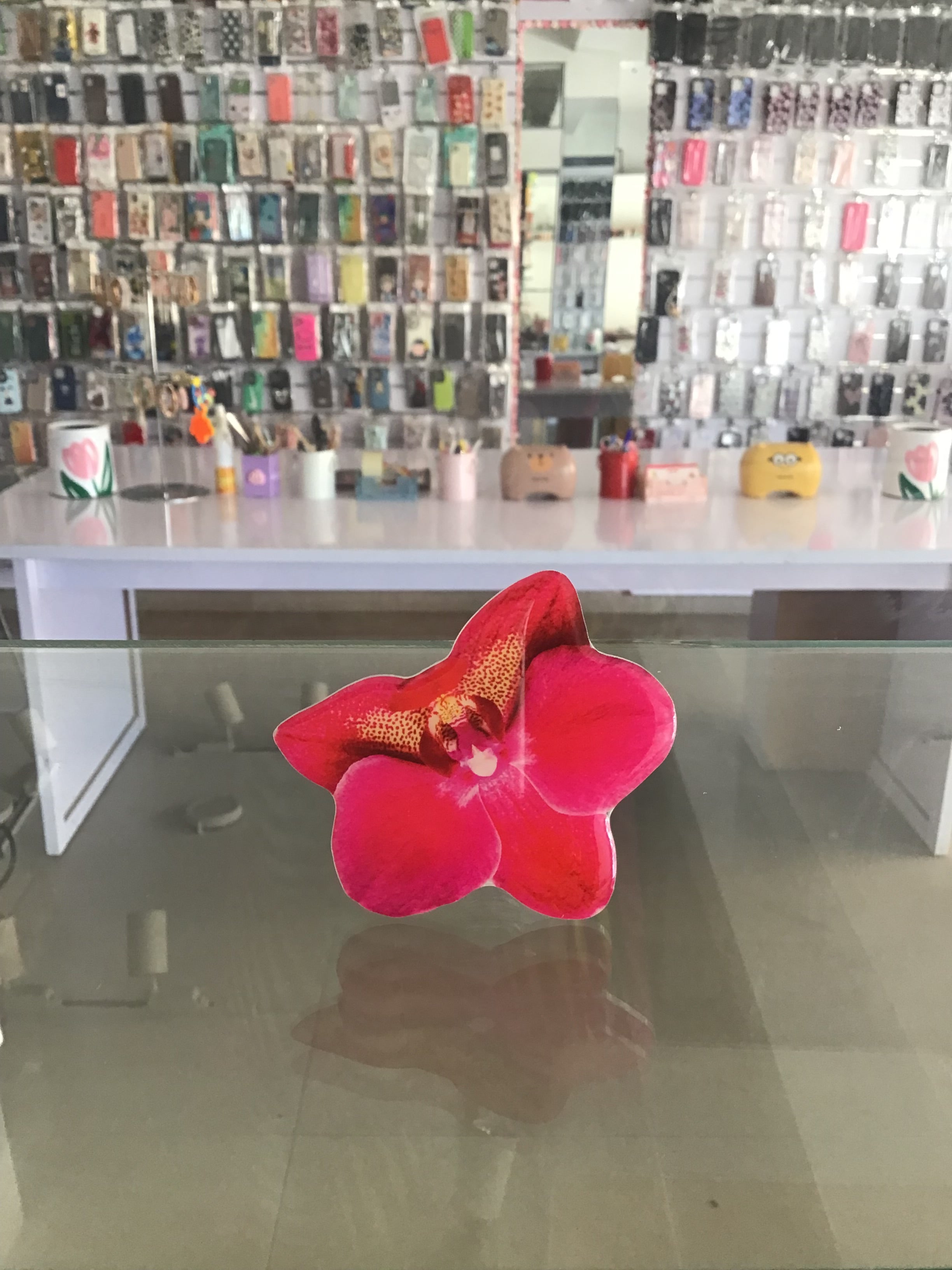 Vanda Orchid Phone Grip