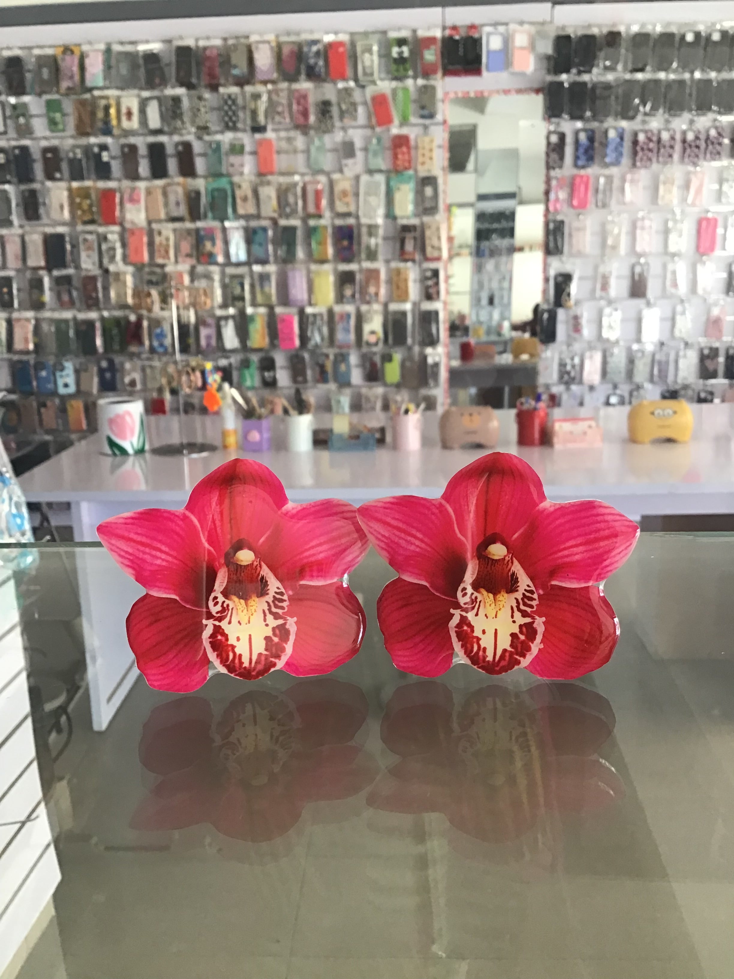 Cymbidium Orchids  Phone Grip