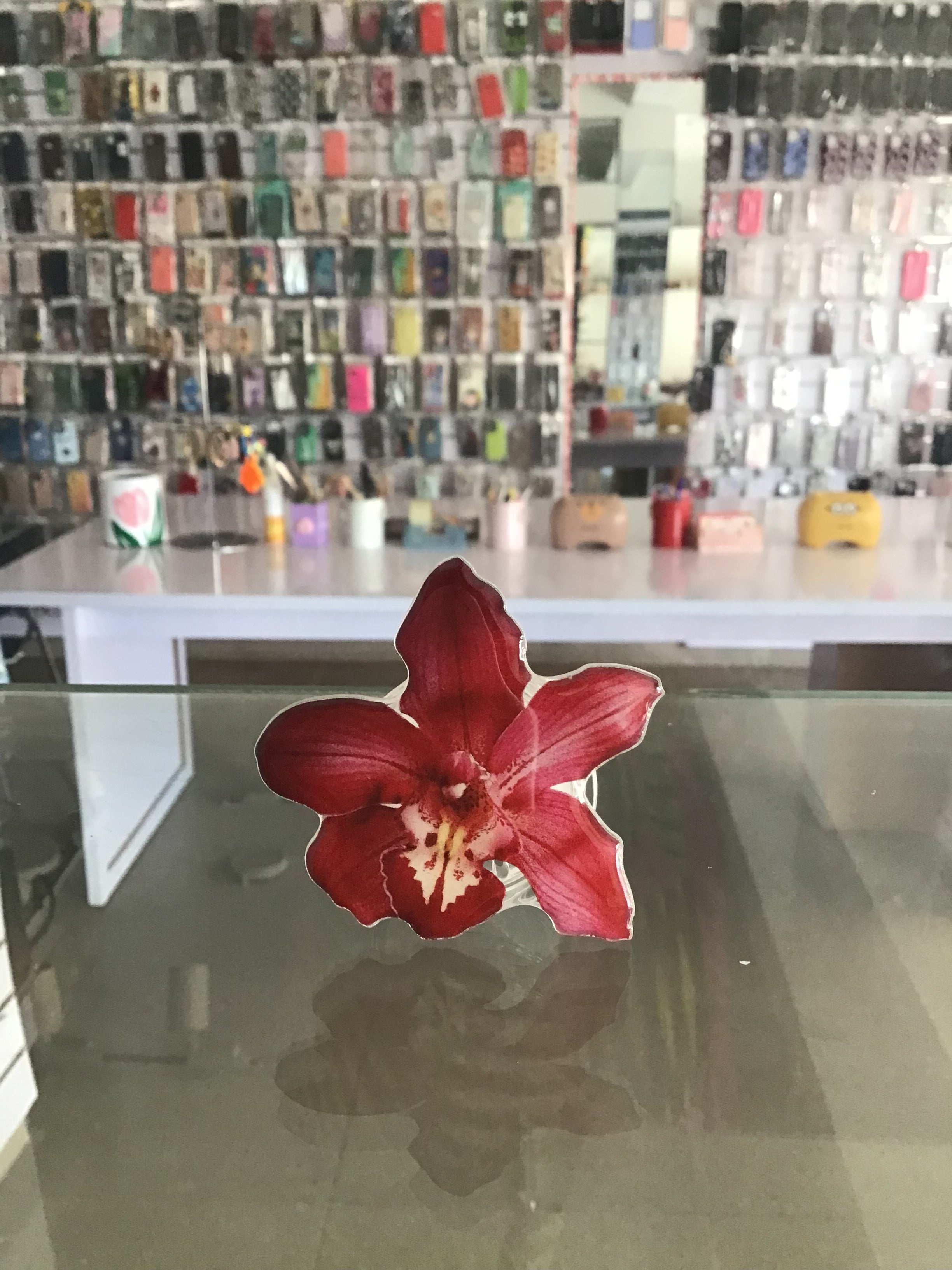 Cymbidium Flower  Phone Grip