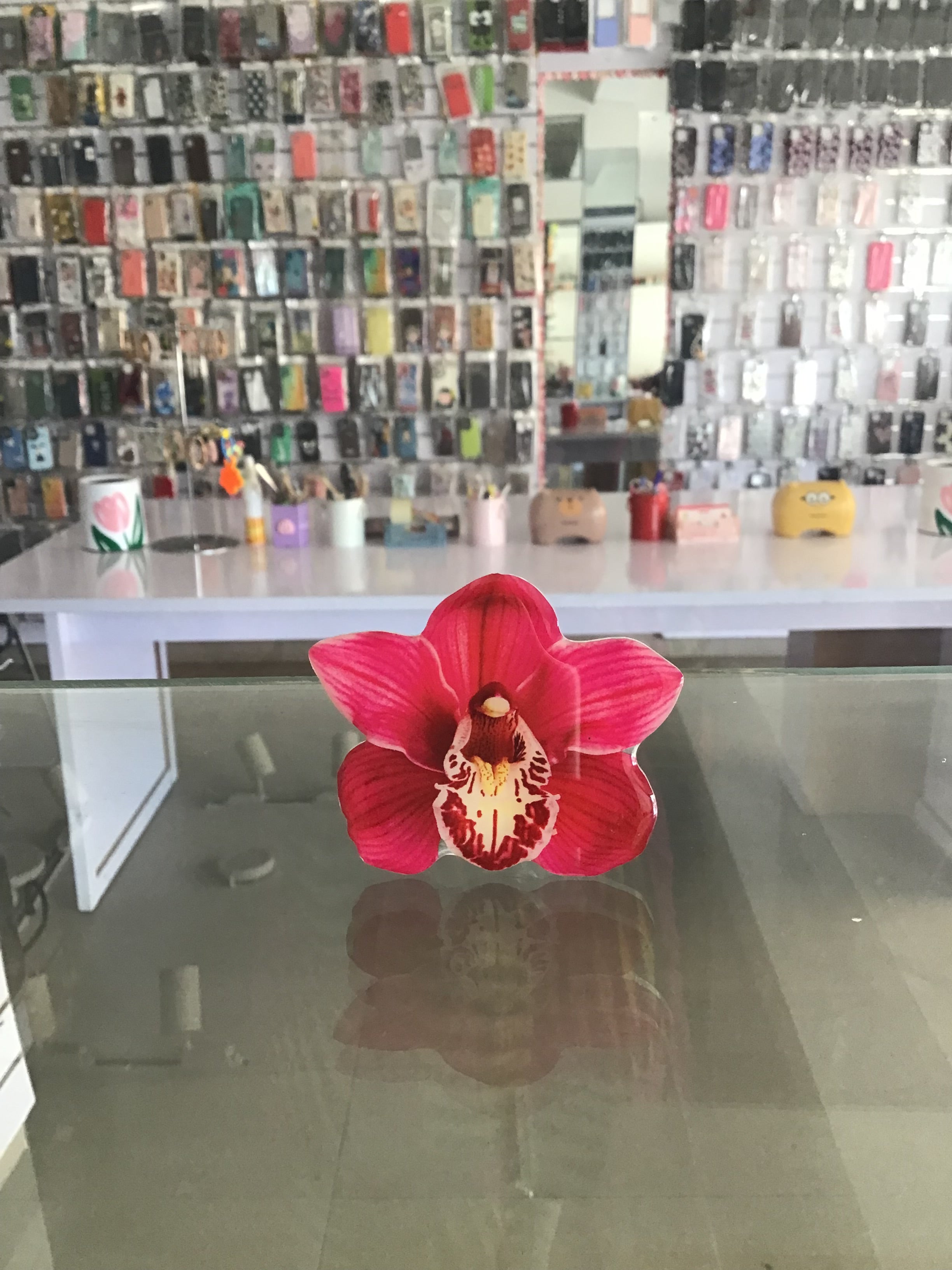 Cymbidium Orchids  Phone Grip