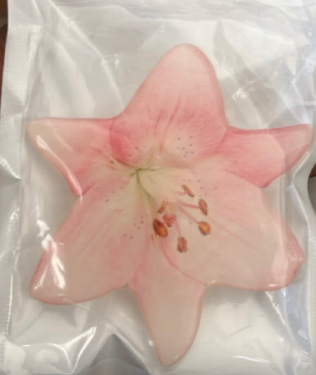 Oriental Lily Mag Safe Phone Grip
