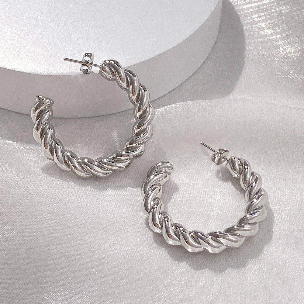 Silver Stainless earrings